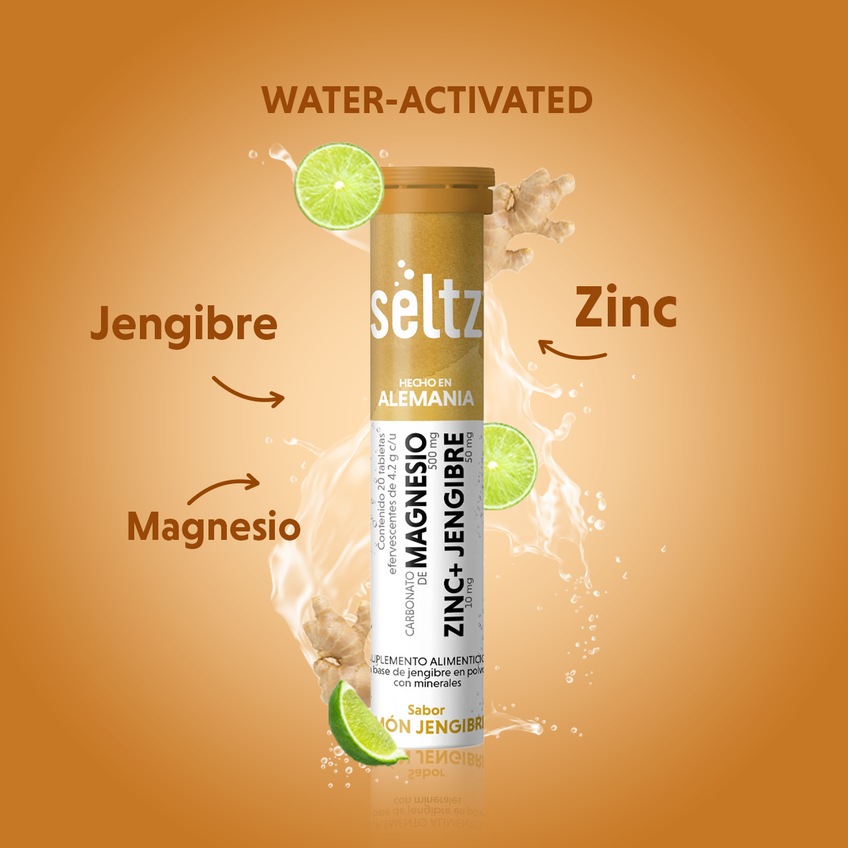 Magnesio + Zinc + Jengibre