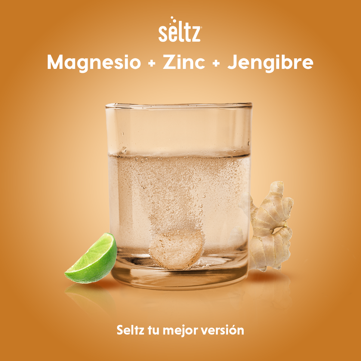Magnesio + Zinc + Jengibre